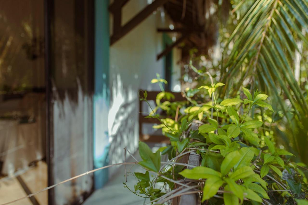 Hotel Villas Tiburon Isla Holbox ภายนอก รูปภาพ