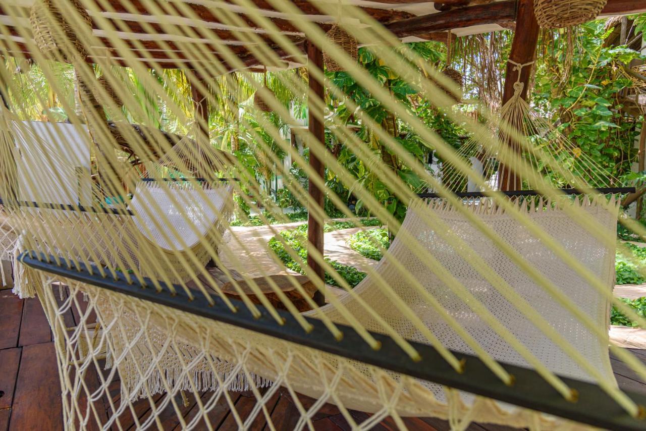 Hotel Villas Tiburon Isla Holbox ภายนอก รูปภาพ