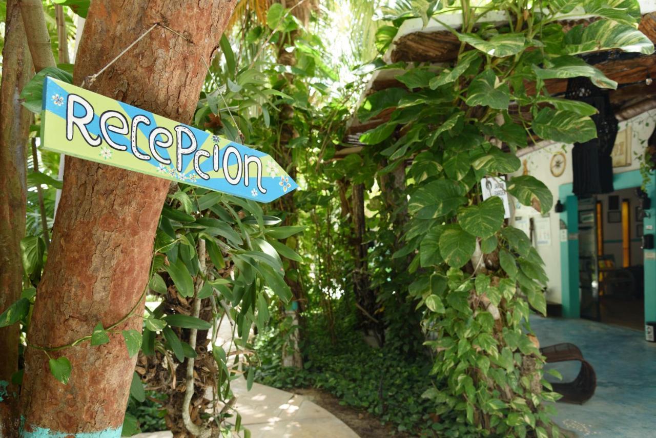 Hotel Villas Tiburon Isla Holbox ภายนอก รูปภาพ